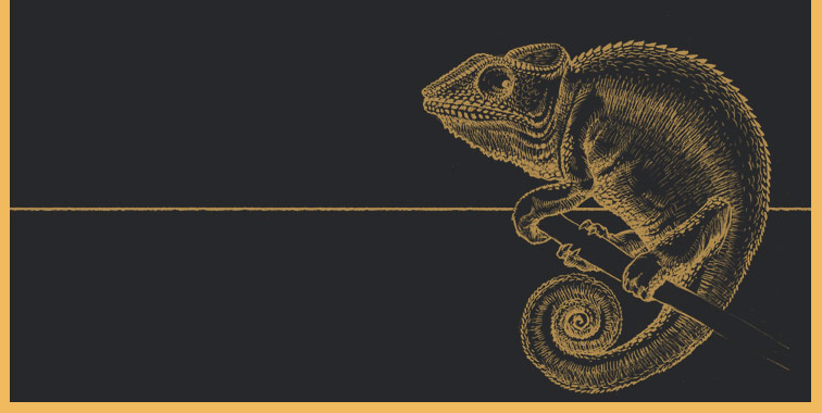 Vielfältige Nutzung