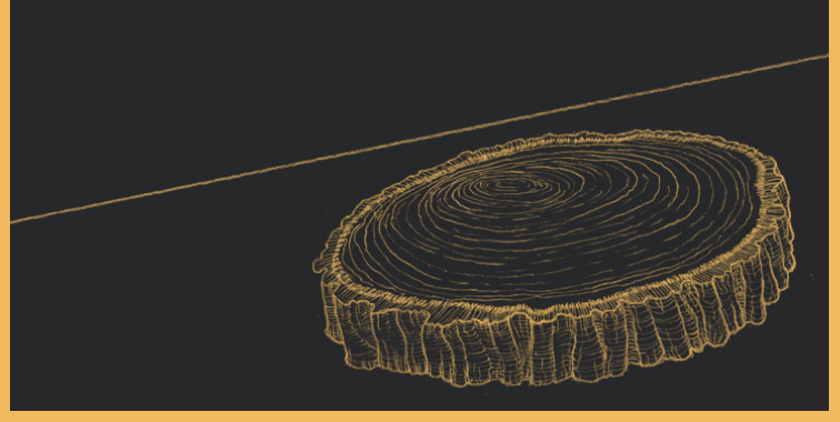 Einzigartige Historie